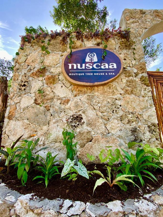 Nuscaa Boutique Tree House & Spa Hotel Puerto Morelos Exterior photo